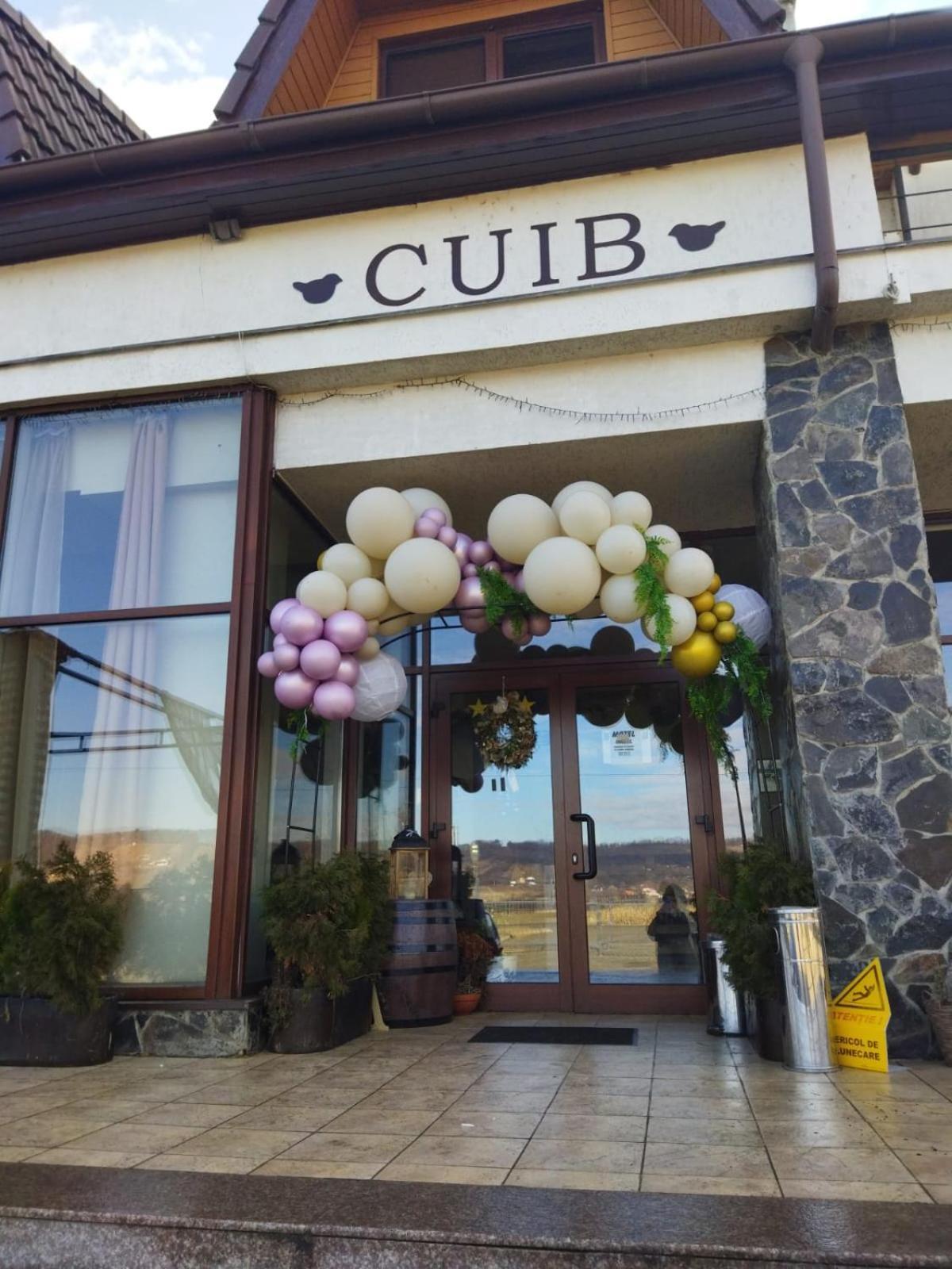Отель La Cuib Кристьян Номер фото